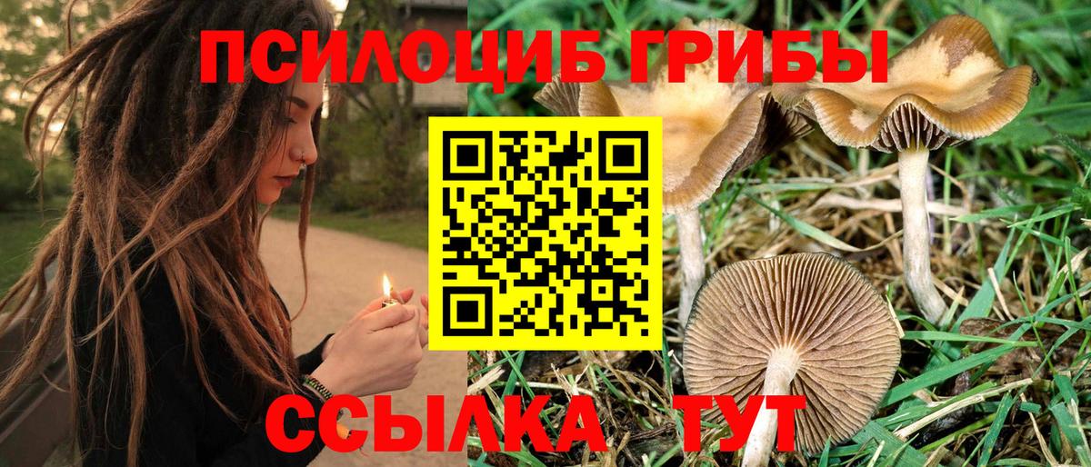 Псилоцибиновые грибы мухоморы  Псилоцибиновые грибы ЛСД  Уварово  Вход с VPN 